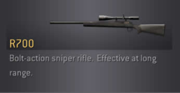 Remington 700 with Silencer